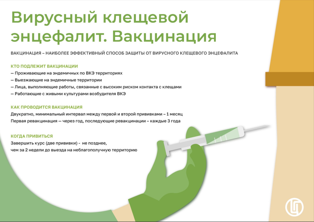 клещевой энцефалит.jpg клещевой энцефалит.jpg