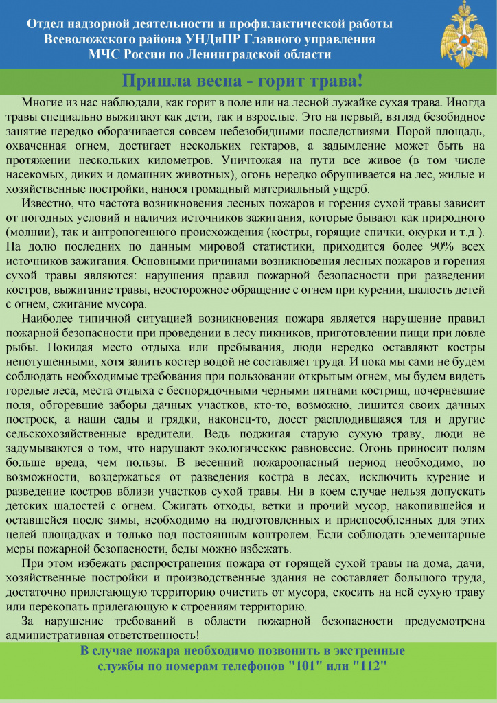 пал травы 1 (1).jpg