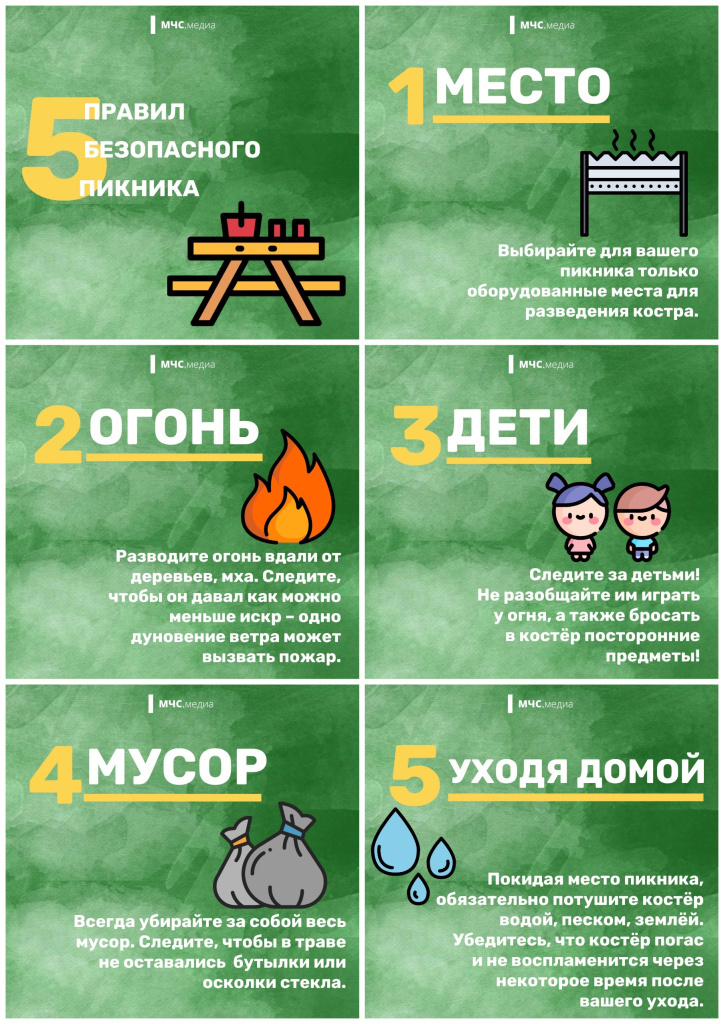 На-пикник.jpeg