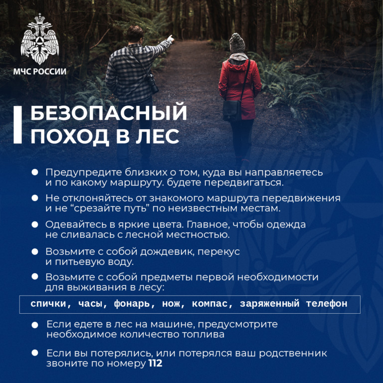 Поход-в-лес-768x768.jpeg